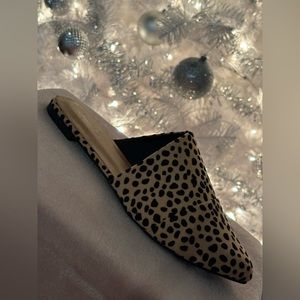 Polka dot flat